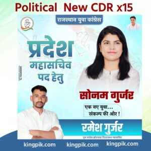 Political Social Media Desigin